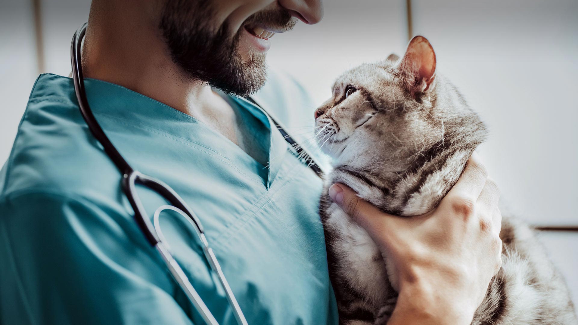 Altınyayla Veteriner